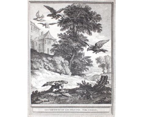 Oudry, Jean Baptiste: (1686 Paris - Beauvais 1755) nach. "Les vautours et les pigeons"  Fable CXXXII".Kupferstich auf Bütten 