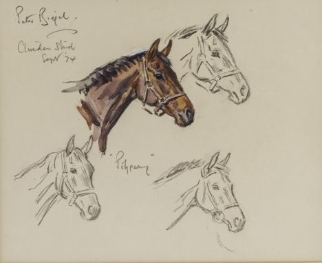 Peter Biegel (1913-1988) pencil sketch and watercolour study of ‘Polygamy’ the thoroughbred racehorse following the Classic E