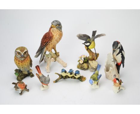 A group of fourteen porcelain figures of birds, ten examples by Goebel, the larger to include a bird of prey, a woodpecker an