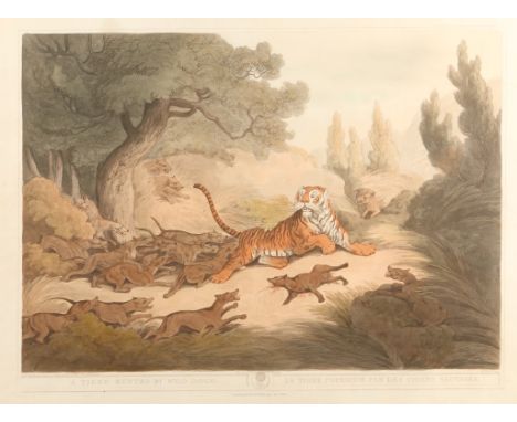 A SET OF FOUR AQUATINTS by Samuel Howett after Capt Thos. Williamson, tiger and elephant hunting dated 1810, 30 x 34cm 