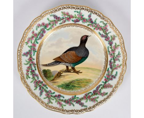 A Ridgeway plate, circa 1850, painted a black grouse within a heather border, 23cm diameter CONDITION REPORT: In good conditi