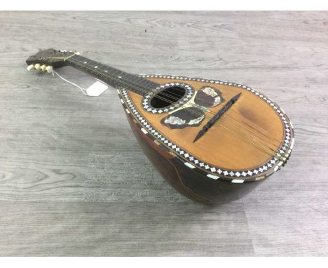 LATE 19TH / EARLY 20TH CENTURY NEAPOLITAN BOWL BACK MANDOLIN,the sound board decorated with butterfly in simulated tortoisesh