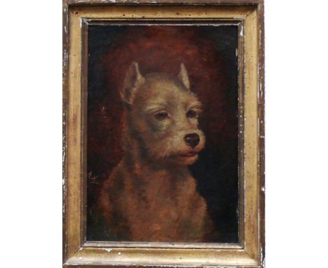 Monogrammist A.N. (1.H.20.Jh.)Hundekopf "Terrier"; ÖL/Malkarton; monogr.; 36,5 x 25 cm; R (45 x 33,5 x 2,5 cm)