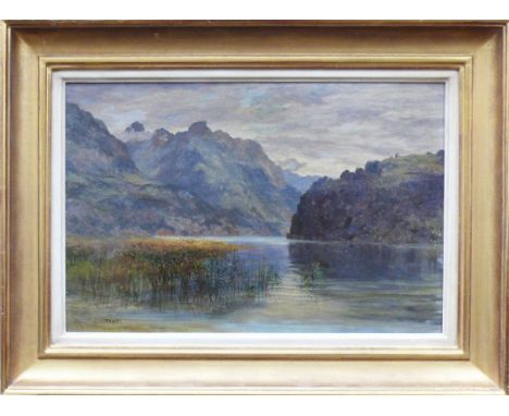 Forster, Thomas Burton Watkin (attr., 1821 - 1887)"Landschaft in Schottland"; Blick auf Gebirgssee; ÖL/Malkarton; links unten