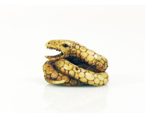 Netsuke (Japan)"Schlange"; in geringelter Darstellung; Maul geöffnet; nicht definiertes Material; H: 2,2 cm;Netsuke