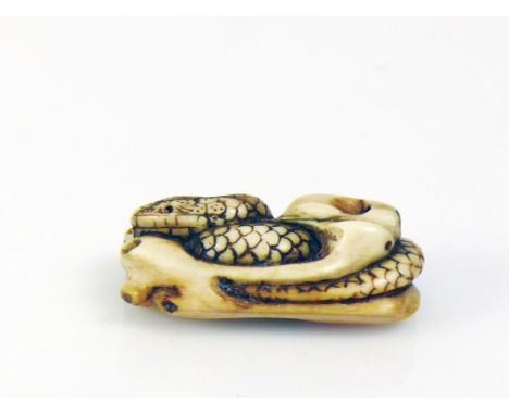 Netsuke (Japan)"Schlange"; geringelt; im Rest eines Baumstammes; nicht definiertes Material; H: 1,5 cm; B: 4,5 cmNetsuke