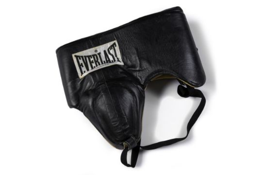 everlast groin guard