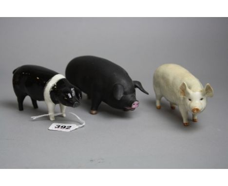 TWO BESWICK PIGS, to include Wessex Saddleback Boar 'Faracre Viscount 3rd' No.1512, a Sow ch 'Wall Queen 40th' No.1452A (leg 