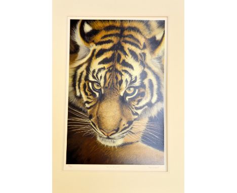 AFTER PIP MCGARRY, 'Eye of the Tiger', a limited edition print 100/195, signed, titled and numbered in pencil by the artist, 