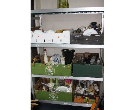 SIX BOXES OF CERAMICS, GLASSWARE AND SUNDRIES, including Wade, Midwinter, etc (six boxes and a decanter)