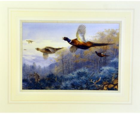 AFTER ARCHIBALD THORBURN, 'Pheasants in Flight', a limited edition print 33/195, 43cm x 30cm, with certificate, unframed