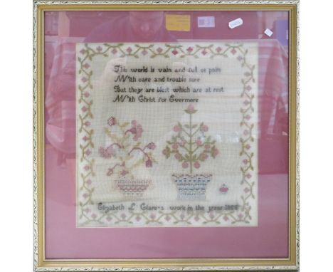 19th century framed Sampler dated 1855: Frame size 48cm x 49cm