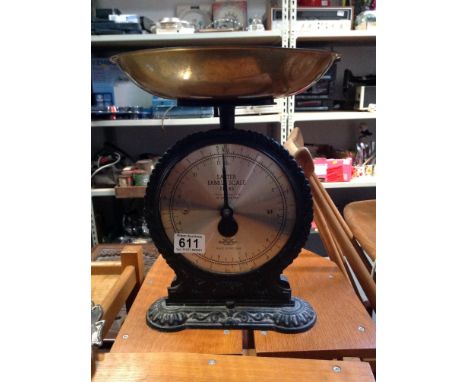 Salter Family Scales 