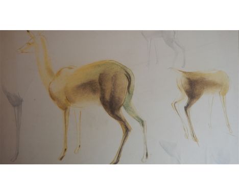 PERCY DRAKE BROOKSHAW (BRITISH, 1907 - 1993)  'Zoo Studies' lithograph signed and dated in pencil bottom left '57' (1957) mou