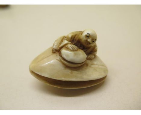 A carved 19th century / early 20th century ivory Netsuke figure on clam shell, 3cm x 4cm 