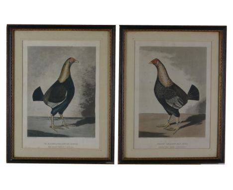 
	
		After F. Marshall, engraved by R. G. Reeve, Streaky Breasted Red Dunn, Called the Bone Crusher and The Blackbreasted Dar