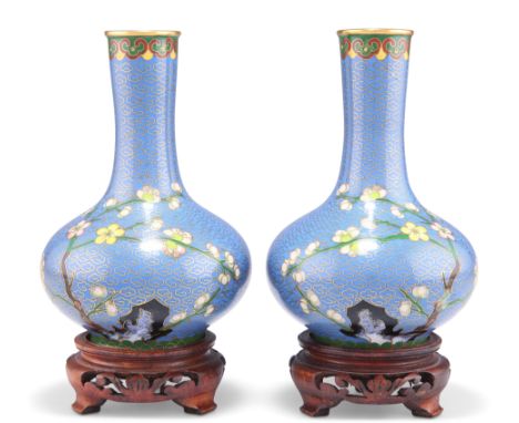 A PAIR OF CHINESE CLOISONNÉ BOTTLE VASES, decorated with boughs of prunus and magnolia, to powder blue and gilt cloud grounds