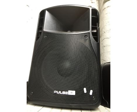 A Pulse APS15 ( 500W max ) speaker  