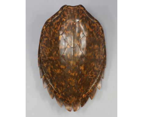 A late 19th/early 20th century taxidermy Turtle shell or carapace with plastron, of light brown mottled colour, 13“ wide x 20
