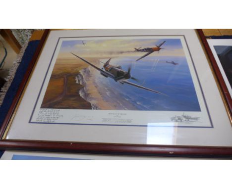 Two Nicholas Trudgian framed and signed prints - First flap of the day and Hurricane scramble, and 3 x unframed rolled prints
