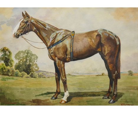 Reginald Llewellyn Harvey (British 1888-1973): Portrait of a Racehorse - 'Zipyrus', watercolour signed titled and dated 1947,