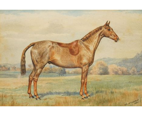 Dorothy Margaret Alderson (British 1900-1992) and Elizabeth Mary Alderson (British 1900-1988): Portrait of a Horse in Pasture