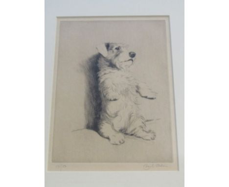 CECIL ALDIN, signed limited edition etching "Portrait of begging Dog", 7" x 5" 