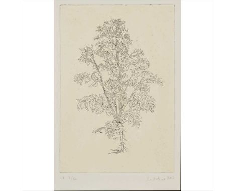 § CHRISTINE BORLAND (SCOTTISH B.1965) THE HISTORY OF PLANTS ACCORDING TO WOMEN, CHILDREN ANDSet of 10 etchings, 2002, each si
