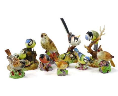 Various Royal Crown Derby bone china bird figures, to include blue tit, number 4/100 by M E Reynolds, 12cm high, various othe