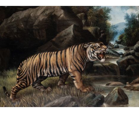 G VENKATESH RAO, INDIAN, A TIGER, DATED 1913, oil on canvas, signed and dated lower right, framed Venkatesh Rao is best known