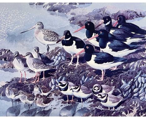‡ CHARLES FREDERICK TUNNICLIFFE OBE RA limited edition (136/500) print for the Tryon Gallery - oystercatchers and redshanks o