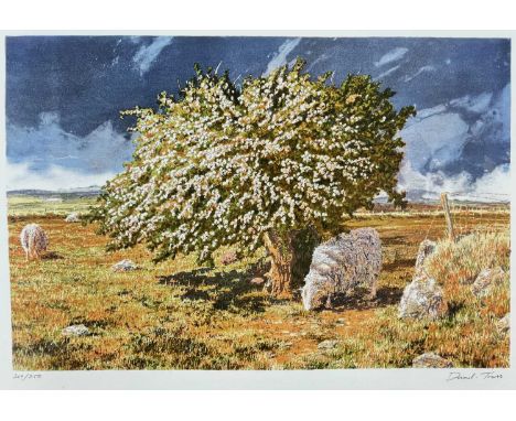 ‡ DAVID TRESS limited edition (209/250) Curwen Studios lithograph - Welsh landscape with sheep, signedDimensions: 54 x 73cmsP