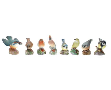 Royal Worcester -&nbsp;group of porcelain bird figures; 3335 great tit, 3235 kingfisher, 3200 wood warbler, 3334 nut hatch, 3