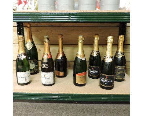 A collection of eight bottles of champagne and sparkling wine