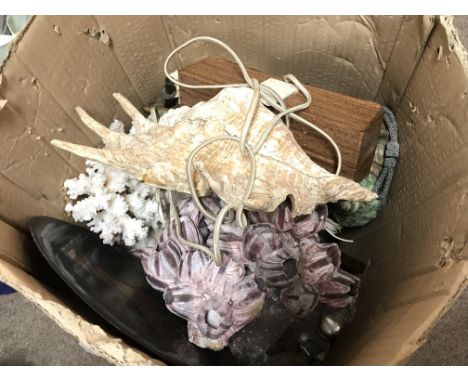 A collection of shells including a conch shell, a sponge rock etc and a Japanese trinket box