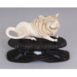 AN EARLY 20TH CENTURY CHINESE IVORY CARVING OF A GROWLING LION, together with a fixed wood stand,