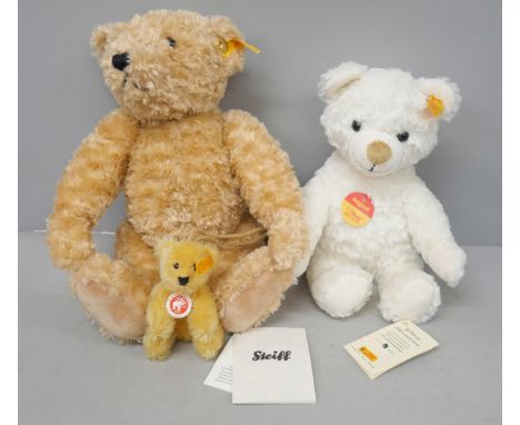 A Steiff bear in box and two others 