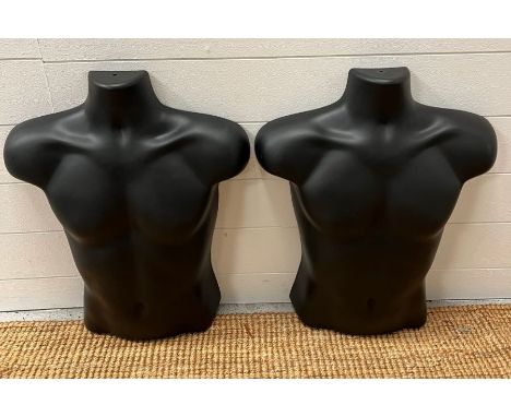 Two mannequin plastic torso 