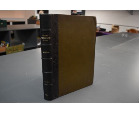Natural History. Houghton, Rev. W. - British Fresh-water Fishes. London: William Mackenzie. 1879. Bound as one volume. 204pp.